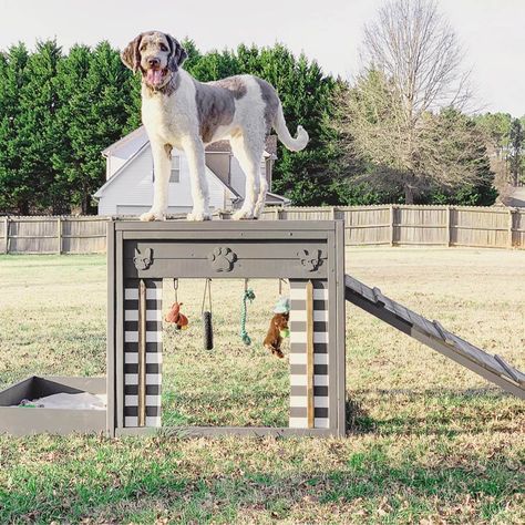 Backyard Playground For Dogs, Dog Perch Outdoor, Dog Play Structure, Dog Playground Diy, Dog Playground Backyard Diy, Diy Dog Areas In Backyard, Backyard Dog Playground, Dog Playground Backyard, Dog Park Ideas