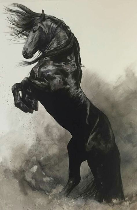 Love Black Horse, Giclée Print, A Horse, A Black, Fine Art, White, Black, Art