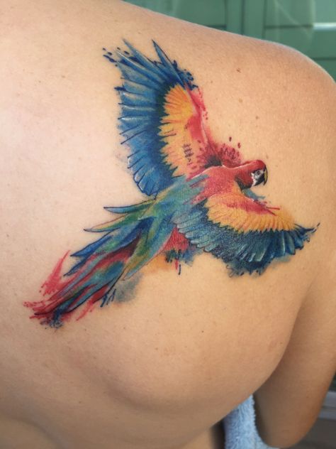 Macaw (guacamaya) tattoo by Notable in Santa Marta, Colombia. This tattoo represents my three years living in Colombia. Macaw Parrot Tattoo, Macaw Tattoo, Colombia Tattoo, Colombia Tattoo Ideas, Parrot Sleeve Tattoo, Scarlet Macaw Tattoo, Indian Ringneck Parrot Tattoo, Parrot Tattoo, Inca Tattoo