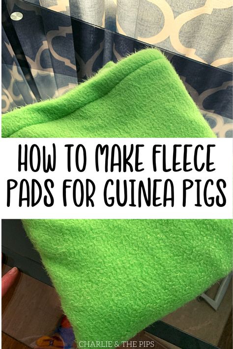 Guinea Pig House Diy, Guinea Pig Cage Ideas Diy, Homemade Guinea Pig Cage, Guinea Pig Enrichment Ideas, Pigs Videos, Guinea Pig Cage Setup Ideas, Guinea Pig Diy Toys, Guinea Pigs Cage Ideas, Guinea Pig Diy Hideouts