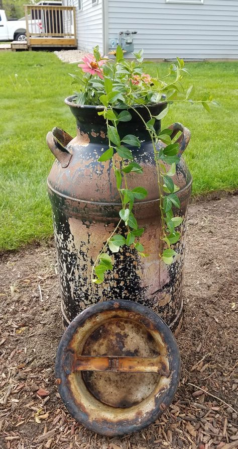 Repurpose Old Milk Can, Old Metal Milk Can Ideas, Antique Milk Can Ideas Garden, Old Milk Can Ideas, Milk Can Planter, Vintage Milk Jug Ideas, Vintage Milk Jug Decor, Milk Jugs Garden, Crock Decor