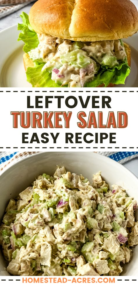 Got turkey leftovers? Turn them into this easy turkey salad recipe! It's perfect for a quick lunch or dinner. Combining those savory turkey chunks with fresh veggies and a creamy dressing. It's not just a salad it's a delicious way to enjoy holiday leftover recipes! Whether you're craving a turkey sandwich recipe or looking to try new turkey meat recipes, this dish delivers! Ready to dig in? Your easy lunch idea just got tastier! Leftover Turkey Meals Ideas, Easy Turkey Salad Recipe, Chopped Turkey Salad, What To Make With Leftover Turkey Meat, Smoked Turkey Salad Recipes, Turkey Salad Sandwich Recipe, Leftover Turkey Salad Recipes, Recipes With Leftover Turkey Meat, Leftover Turkey Dinner Recipes