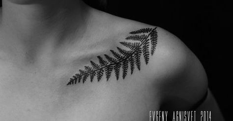 tattoo on shoulder/Fern Tattoo On Shoulder, Fern Tattoo, Leaf Tattoo, Fern Leaf, Collar Bone Tattoo, 1 Tattoo, Feather Tattoos, Nature Tattoos, Trendy Tattoos