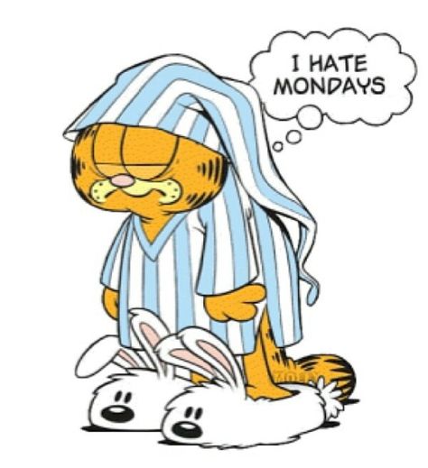 Garfield ~ I hate Mondays Garfield Monday, Garfield Wallpaper, Desenho Tom E Jerry, Garfield Pictures, Garfield Images, Garfield The Cat, Garfield Cartoon, I Hate Mondays, Garfield Cat