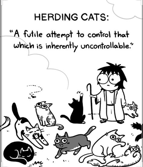 Funny Sarah Anderson Comics, Cats Humor, Sarah's Scribbles, Herding Cats, Cat Jokes, Cat Comics, Comics Story, Funny Cat Pictures, Cat Drawing