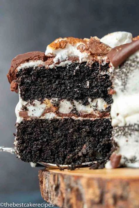 Smores Cake Recipe, Easy Smores, The Best Cake Recipes, Chocolate Smores, Marshmallow Cake, Cola Cake, Smores Cake, Adventure Seeker, Dog Haircuts