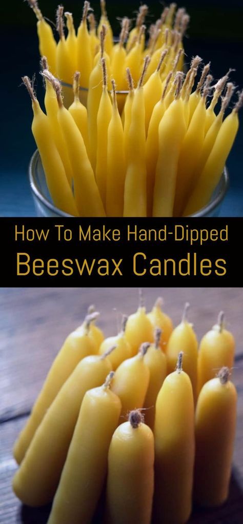 How To Make Hand-Dipped Beeswax Candles Beeswax Taper Candles Diy, Diy Candle Dipping, Hand Dipped Beeswax Candles, Dip Candles, Making Beeswax Candles, Beeswax Diy, Homemade Beeswax Candles, Expensive Candles, Beeswax Candles Diy