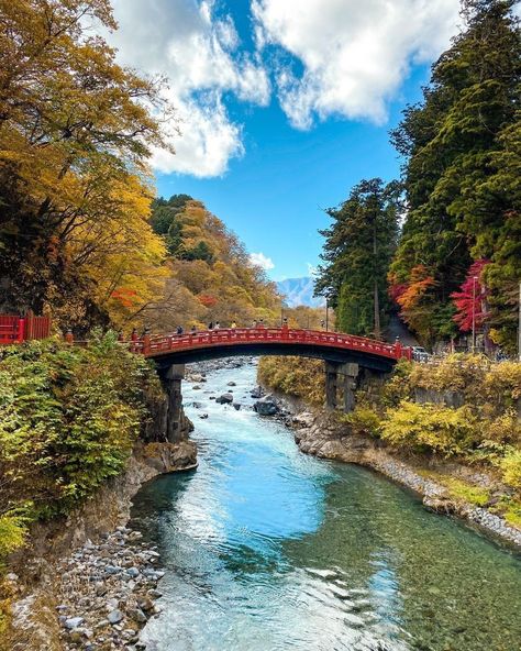 Under an hour by bullet train from Tokyo, Tochigi Prefecture feels like a world away. 😍🇯🇵 With its rich cultural heritage and breathtaking natural landscapes, Tochigi has much to offer its visitors. 🍃⛩️⁠ ⁠ There are seasonal parks, hot spring resorts, beautiful shrines and temples and ample opportunities for outdoor enthusiasts, such as hiking, canyoning [...] The post Visit Japan: Under an hour by bullet train from Tokyo, Tochigi Prefecture feels like a world … appeared first on Alo J 2023 Travel, Bullet Train, Trip To Japan, Spring Resort, White Water Rafting, Natural Landscapes, Visit Japan, Hot Spring, Uk Travel