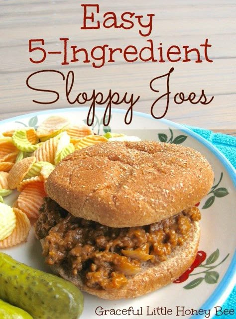 Sloppy Janes, Homemade Sloppy Joe Sauce, Sloppy Joe Recipe Easy, Homemade Sloppy Joe Recipe, Sloppy Joe Recipe, Sloppy Joes Easy, Homemade Sloppy Joes, Joe Recipe, 2024 Recipes