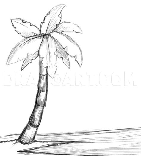 How To Draw A Palm Tree, Step by Step, Drawing Guide, by Dawn | dragoart.com Tree Drawing Design, Draw A Palm Tree, Palm Tree Sketch, Trees Drawing Tutorial, Tree Drawing Simple, Palm Tree Drawing, Leaves Tattoo, Family Tree Painting, Oak Tree Tattoo