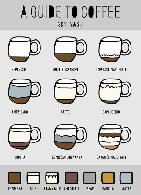 A Visual Guide to Coffee Barista Tools, Coffee Infographic, Coffee Art Print, Coffee Guide, Kona Coffee, Coffee Farm, Coffee Coffee Coffee, Coffee Type, Buy Coffee