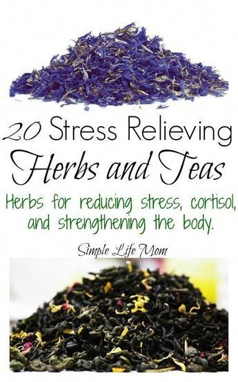 Tea Blends Recipes, Homemade Tea, Herbal Teas Recipes, Herbal Tea Blends, Healthy Teas, Herbal Healing, Herbs For Health, Healing Herbs, Natural Health Remedies