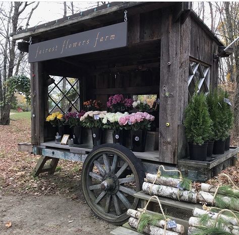 Woodstove Ideas, Farmstand Ideas, Apple Cider Coffee, Road Side Stand, Flower Kiosk, Mobile Bakery, Farm Market Ideas, Farm Stand Ideas, Micro Bakery