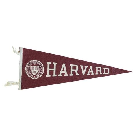 Harvard Library, Felt Flag, College Vision Board, Harvard College, Harvard Law, Dream College, Dream School, Harvard University, Old New House