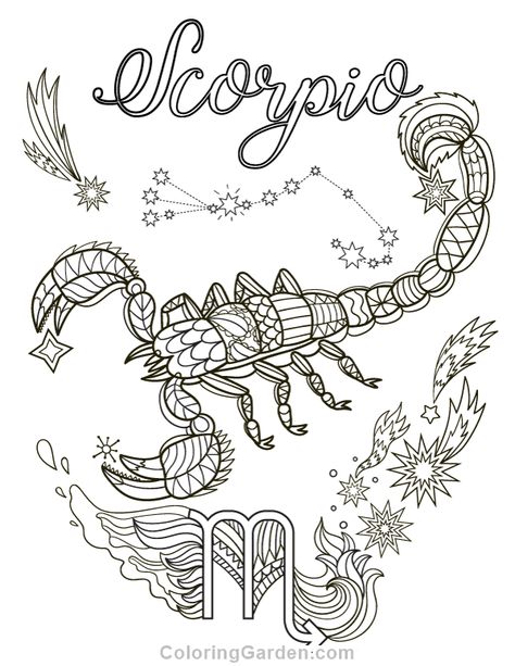 Free printable Scorpio adult coloring page. Download it in PDF format at http://coloringgarden.com/download/scorpio-coloring-page/ Zodiac Coloring Pages, About Scorpio, Scorpion Zodiac, Zodiac Signs Colors, Free Adult Coloring Printables, Adult Colouring Printables, Love Coloring Pages, Quote Coloring Pages, Adult Coloring Designs