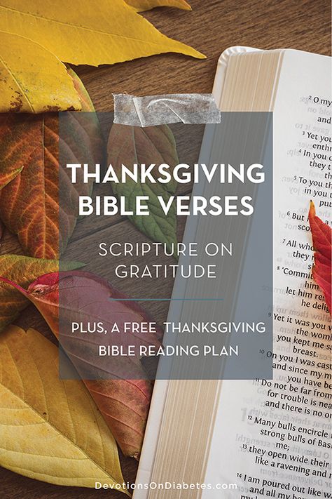 Thanksgiving Bible Verses: 45 of the Best Scriptures on Gratitude Verses For Thanksgiving, Best Scriptures, Thanksgiving Verses, Worship Scripture, Thanksgiving Scripture, Thanksgiving Bible Verses, Good Scriptures, Thankful Heart, Bible Passages