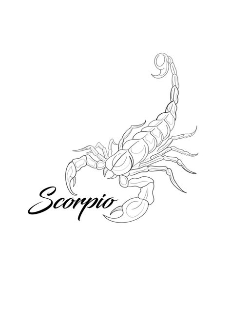 Scorpion Tattoo Design Simple, Scorpion Tattoo Feminine Scorpio, Scorpion Tattoo Design Feminine, Learn Tattoo, Scorpion Image, Scorpion Tattoo Design, Scorpio Tattoos, Scorpio And Pisces, Scorpio Tattoo