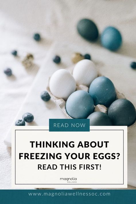 In the vast universe of reproductive choices, egg freezing is one that's often misunderstood. Let's clear up the fog! Follow us to explore the nitty-gritty details, costs, and potential challenges associated with egg freezing and fertility for women Egg Freezing Fertility, Preconception Planning, Egg Freezing, Fertility Smoothie, Sperm Health, Freezing Eggs, Fertility Crystals, Fertility Health, Blood Pressure Chart