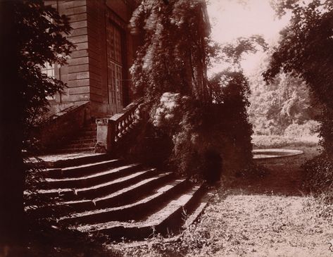 Eugène Atget's 'Documents Pour Artistes' at MoMA | Time Eugene Atget, Berenice Abbott, Old Paris, Classic Image, French Photographers, Famous Photographers, National Gallery Of Art, Paris Photos, Documentary Photography