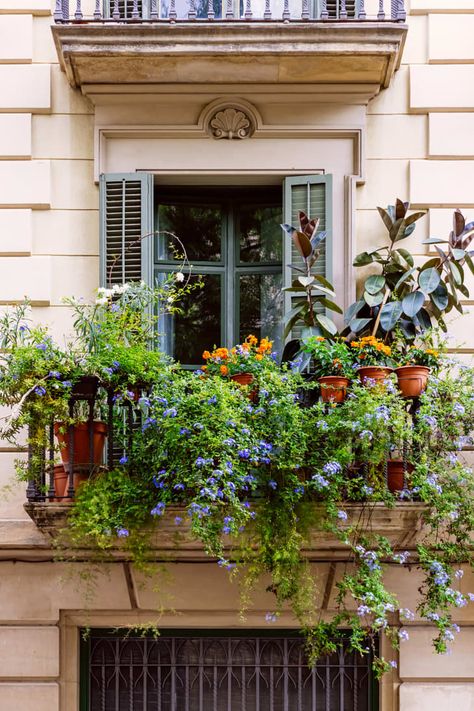 French Balcony, Tiny Balcony, Small Balcony Garden, Balcony Flowers, Small Balcony Design, Apartment Plants, Balcony Plants, Small Outdoor Spaces, Small Balcony Ideas