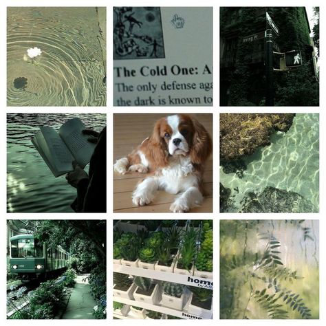 Earthy Moodboard, Green Moodboard Aesthetic, Forest Moodboard, Dog Moodboard, Fursona Ideas, Dog Spaniel, Forest Rain, Oc Maker, Adopt Idea