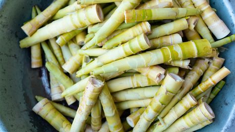 Bamboo Shoots: Nutrients, Benefits, and More Benefits Of Vitamin A, Vegan Protein Sources, Bamboo Shoot, Bamboo Shoots, Best Protein, Nutrient Dense Food, High Fat Diet, Wild Plants, Whole Foods Market