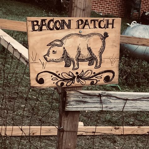 Backyard Pig Pen Ideas, Pig Pen Fencing, Pigs And Chickens Together, Building A Pig Pen, 4h Livestock Pen Decorations, Pig Fence Ideas, Pig Pin Ideas, Kune Kune Pig Pen, Farrowing Pen Pigs Diy