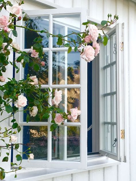 Villino delle rose Beautiful Windows, Rose Cottage, Open Window, Summer House, My Dream Home, Cottage Garden, Pink Roses, Home Design, Ramen