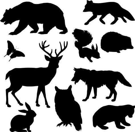 Woodland animals silhouette by @Firkin, A pack of silhouettes of woodland animals adapted from a drawing on Pixabay, on @openclipart Woodburning Ornaments, Western Animals, Urs Polar, White Animals, Cricut Images, Animal Shapes, Animal Stencil, Theme Nature, Silhouette Stencil