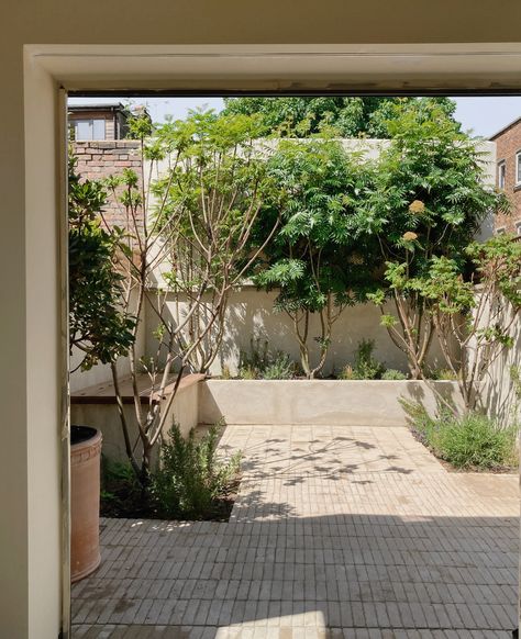 Small Courtyard Garden, Small City Garden, Small Courtyard, Small Courtyard Gardens, Courtyard Gardens Design, Minimalist Garden, Front Courtyard, Garden Paving, London Garden