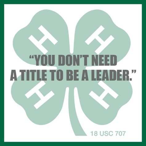 Leader 4-h Poster Ideas, 4 H Club, 2025 Goals, Team Building, Writing A Book, 4 H, Leadership, How Are You Feeling, Writing