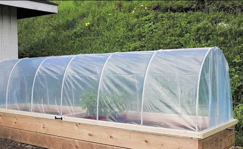 Hinged Hoop House Raised Bed Garden – Off Grid World Bedroom Makeover Diy, Hoop House, Raised House, Greenhouse Cover, Raised Bed Garden, Diy Pallet Bed, Stepping Stones Diy, Garden Globes, Building A Raised Garden