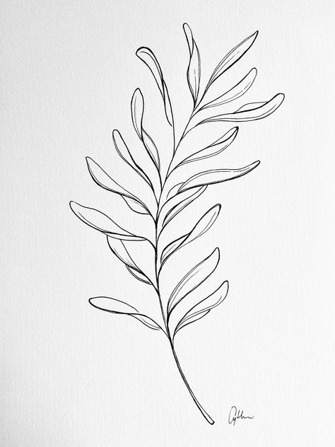 Tanaman Air, Simple Line Drawings, Botanical Tattoo, Flower Sketches, Leaf Drawing, Soyut Sanat Tabloları, Floral Drawing, Plant Drawing, Plant Illustration