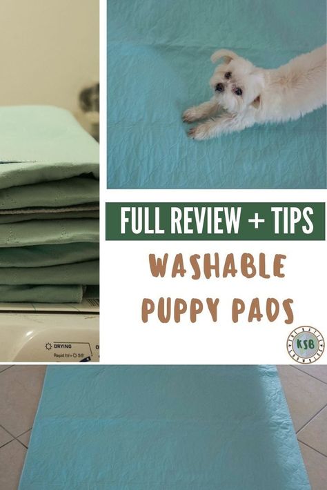 A complete real talk review for using washable puppy pads instead of disposable ones. Diy Puppy Pads, Washable Puppy Pads, Puppy Pads, Indoor Dog, Eco Friendly Travel, Military Spouse, Dog Runs, Sustainable Travel, Laundry Products