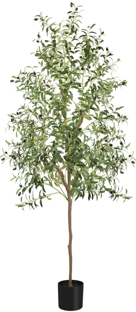 PRICES MAY VARY. 🌲【Premium Quality】 This fake olive tree is made of durable and premium polyester material. The base is made of solid cement mixture which can prevent children or pets knocking it down. Finally, add concrete to its surface to mimic real dirt. 🌼【Lifelike Artificial Plant】Carefully imitate the appearance of real-life plants. Green leaves and strong&smooth trunks make this faux silk plant lifelike. Our artificial olive tree will let you feel the presence of nature and vigorous gre Realistic Faux Plants, Artificial Trees Indoor Decor, Olive Tree Indoor, Fake Olive Tree, Artificial Indoor Trees, Artificial Olive Tree, Meyer Lemon Tree, Olive Plant, Faux Olive Tree