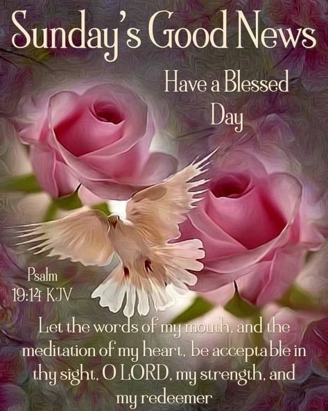 Sunday Blessings Scriptures, Sunday Blessings Inspiration Scriptures, Sunday Morning Prayer, Blessed Sunday Quotes, Happy Sunday Images, Happy Sunday Morning, Good Sunday Morning, Sunday Blessings, Sunday Images