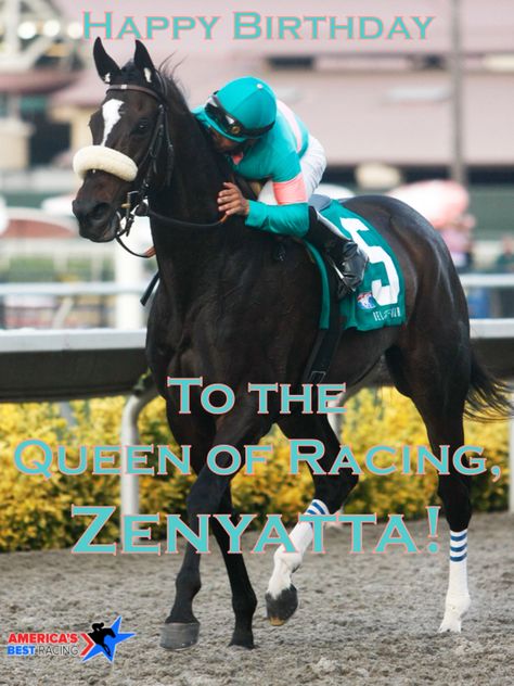 Zenyatta Horse, Mike Smith, Ky Derby, Thoroughbred Horse Racing, Thoroughbred Horse, Horse Crazy, Equine Art, Black Horse, Pretty Horses