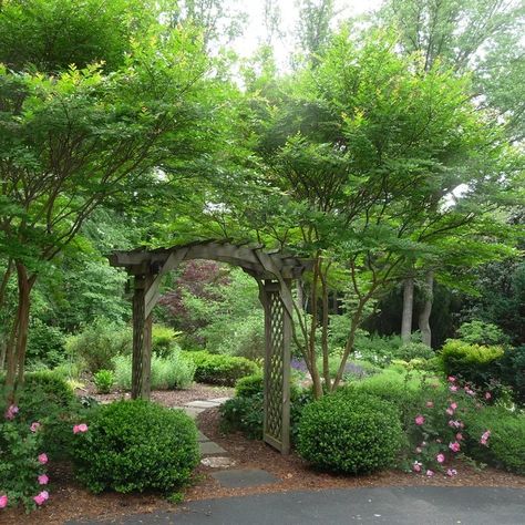 Front Entrance - Traditional - Landscape - Chicago - by PaveStone Brick Paving Inc. | Houzz Chicago Landscape, Front Landscape, Brick Paving, Front Landscaping, Front Entrance, Traditional Landscape, Front Entrances, Landscape Pictures, Pictures Ideas