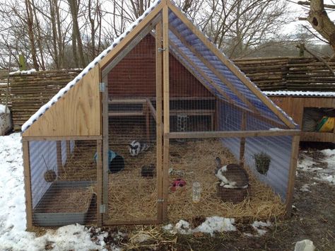 Rabbit Hutch Plans, Rabbit Shed, Diy Rabbit Hutch, Outdoor Rabbit Hutch, Rabbit Enclosure, Rabbit Habitat, Rabbit Farm, Meat Rabbits, Bunny Hutch