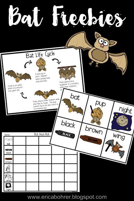 In a week or so we will be starting our bat unit in first grade.  I thought you might be doing the same with your first graders.   I hav... Bat Lessons, Bats Unit, Bats Activities, Night Animals, October Classroom, October School, October Ideas, October Activities, 1st Grade Science