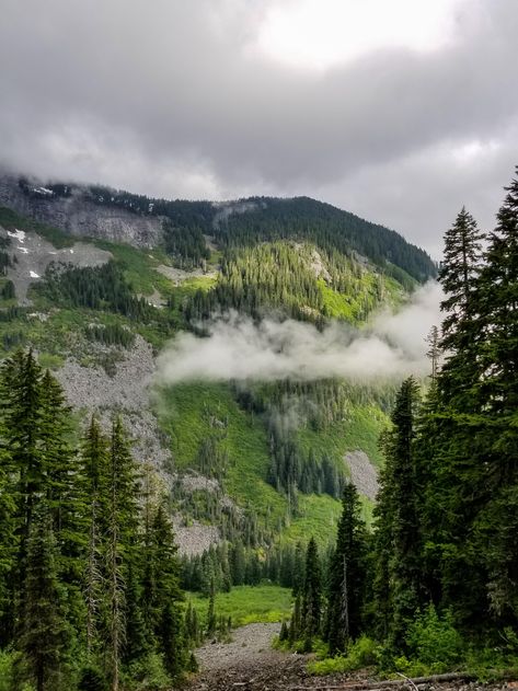 Snoqualmie Washington, Rivers And Roads, Mountain Pass, Mount Rainier National Park, Cascade Mountains, Green Landscape, Get Outdoors, Mountain Lake, Colorful Landscape