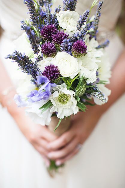 Dazzling Drumstick Alliums | Garden Design Article by Nick McCullough-  Rose Bredl Flowers and Garden in Columbus, OH Allium Flowers, Long Stem Roses, Flower Garden Ideas, Rose Arrangements, Cut Flower Garden, Beautiful Flowers Garden, Lavender Wedding, Wildflower Wedding, Bouquet Ideas