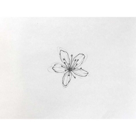 Small Lily Tattoo, Simbols Tattoo, Jasmine Tattoo, Behind Ear Tattoos, Lily Flower Tattoos, Small Flower Tattoos, Small Pretty Tattoos, Petite Tattoos, Intricate Tattoo