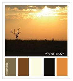 Destination Inspiration Color Palette: African Sunset [Rent.com Blog] African Themed Living Room, African Bedroom, African Living Rooms, African Room, Sunset Color Palette, Wedding Color Pallet, African Inspired Decor, African Colors, African Interior