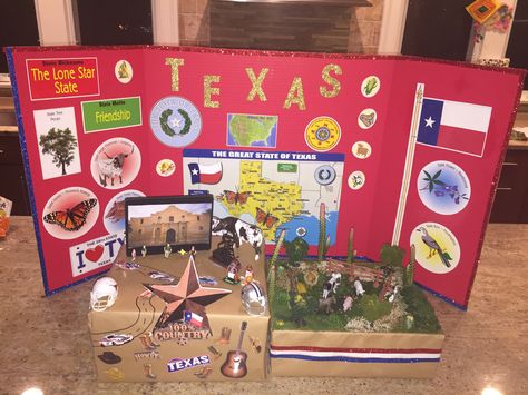 State Presentation Board Ideas, State Float School Project Texas, Shoebox Float, State Project, Display Boards For School, Texas Poster, Culture Day, State Board, School Displays