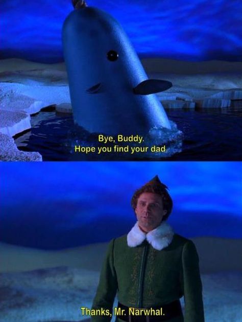 Buddy the Elf and Mr Narwhal Mr Narwhal, Buddy The Elf Quotes, Elf Quotes, Elf Funny, Elf Movie, Buddy The Elf, Movie Lines, All I Want For Christmas, Tv Quotes