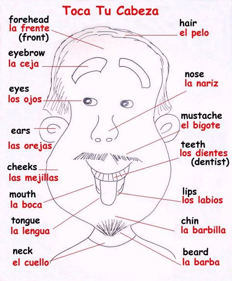 Spanish Words For Beginners, Preschool Spanish, Basic Spanish Words, Learn To Speak Spanish, Spanish For Kids, Homeschool Spanish, Spanish Basics, Spanish Lessons For Kids, Learning Spanish Vocabulary