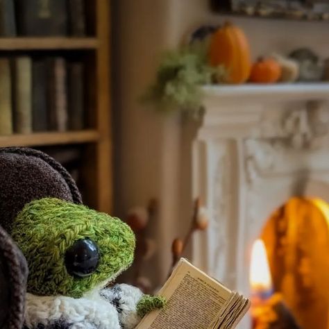 India Rose Crawford on Instagram: "Frog's cosy evening 💖🐸📖 Favourite slippers on, a comfy armchair, hot cup of tea and a good book 📗✨" India Rose Crawford, Hot Cup Of Tea, Cosy Evening, India Rose, Comfy Armchair, Crochet Frog, The Best Series Ever, Cute Stories, Frog And Toad