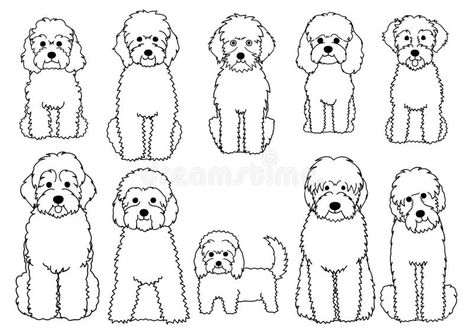 Labradoodle Drawing Simple, Doodle Dog Drawing, Labradoodle Tattoo, Labradoodle Drawing, Teddy Tattoo, Doodle Dog Art, Dog Doodles, Dogs Sitting, Puppy Sketch