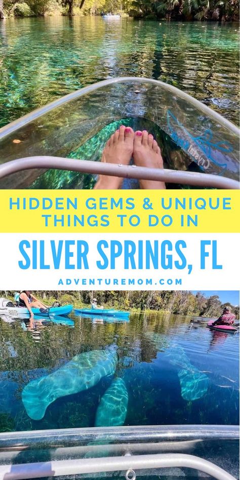 Silver Springs State Park Florida, Orlando Florida Things To Do, Ginnie Springs Florida, Winter Springs Florida, Silver Springs Florida, Florida Trips, Universal Studios Orlando Trip, Orlando Florida Vacation, Adventure Mom